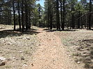 photo thumbnail #4