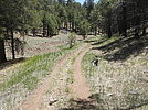 photo thumbnail #6