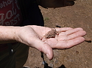 photo thumbnail #7