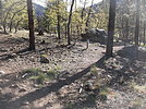 photo thumbnail #1