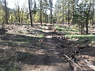 photo thumbnail #4