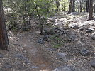 photo thumbnail #8