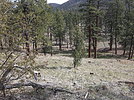 photo thumbnail #12