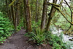 photo thumbnail #7