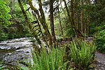 photo thumbnail #13