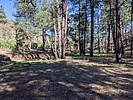 recent photo