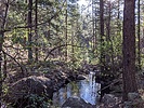 photo thumbnail #9