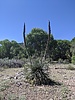 photo thumbnail #15