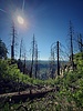 photo thumbnail #11