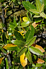 Featured Detail Photo
