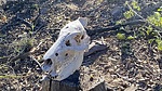 photo thumbnail #2