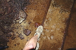 photo thumbnail #13