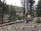 photo thumbnail #8