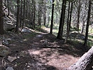 photo thumbnail #13