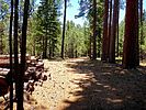 photo thumbnail #14