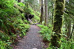 photo thumbnail #9
