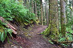 photo thumbnail #10