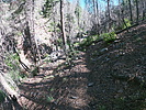 photo thumbnail #5