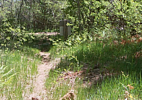 photo thumbnail #12