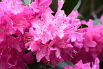 photo thumbnail #15