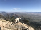 photo thumbnail #2