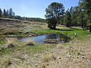photo thumbnail #11