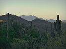 photo thumbnail #4