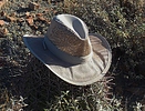 photo thumbnail #11