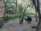 photo thumbnail #8