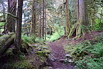 photo thumbnail #6