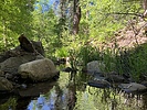 photo thumbnail #6