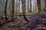 photo thumbnail #14