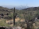 photo thumbnail #5