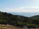 recent photo