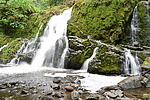 photo thumbnail #9