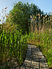 photo thumbnail #14