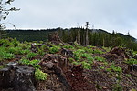 photo thumbnail #13