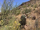 photo thumbnail #4