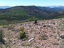 photo thumbnail #7