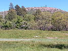 photo thumbnail #8