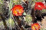 photo thumbnail #4