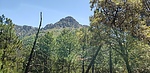 photo thumbnail #12