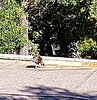 photo thumbnail #13