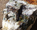 photo thumbnail #6