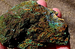 photo thumbnail #9