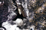 photo thumbnail #11