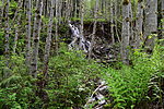 photo thumbnail #8
