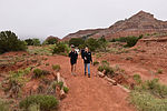 photo thumbnail #6