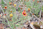 photo thumbnail #11