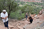 photo thumbnail #12